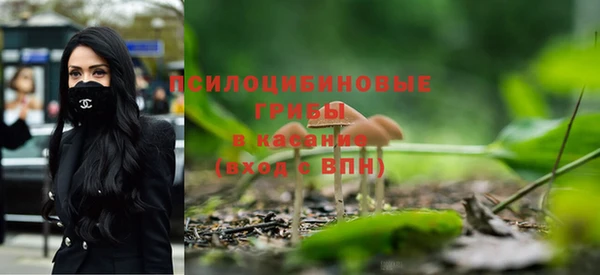 а пвп мука Абаза